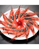 Kamesho Echizen Sweet Shrimp [Imported Japan] 500g 40Piece