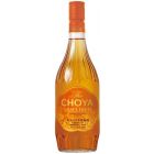 Choya 南高梅一年熟成本格梅酒 15%酒精 [日本進口] 720ml