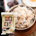 Toyohashi Ryoshoku Industry 豊橋糧食工業 発芽押麦 [日本輸入品] 500g