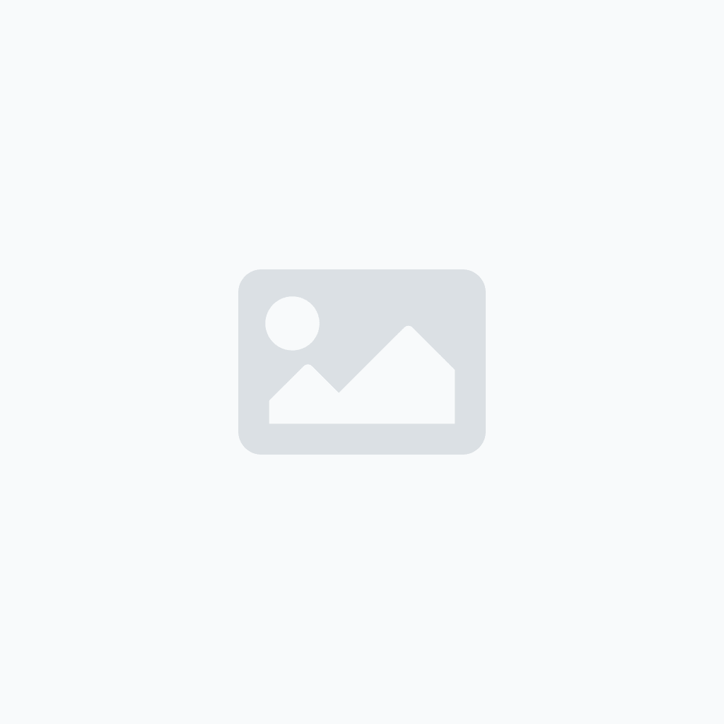 志高 CHIGO 熨燙機 手持掛燙機家用蒸汽電熨斗 [衣服神器] 藍黑色 PL-1803
