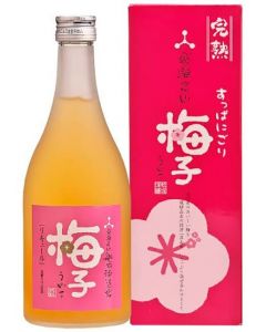 Funasaka 深山菊柚子酒 6%酒精 [日本進口] 500ml