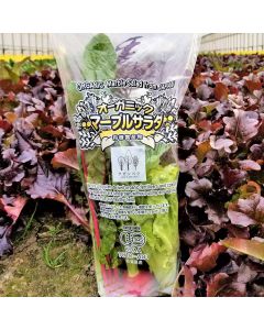 Saganvege Organic Marble Salad [Imported Japan] 150g