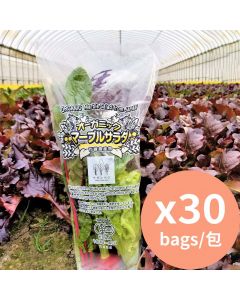 Saganvege Marble Salad Organic JAS [Imported Japan] 150gx30