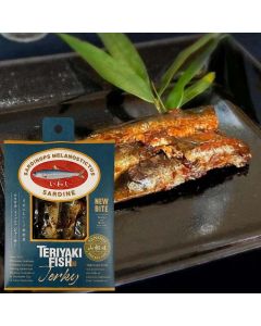 HIRAMATSU SEAFOODS 平松食品 TERIYAKI-FISH jerky いわし [日本輸入品] 40g