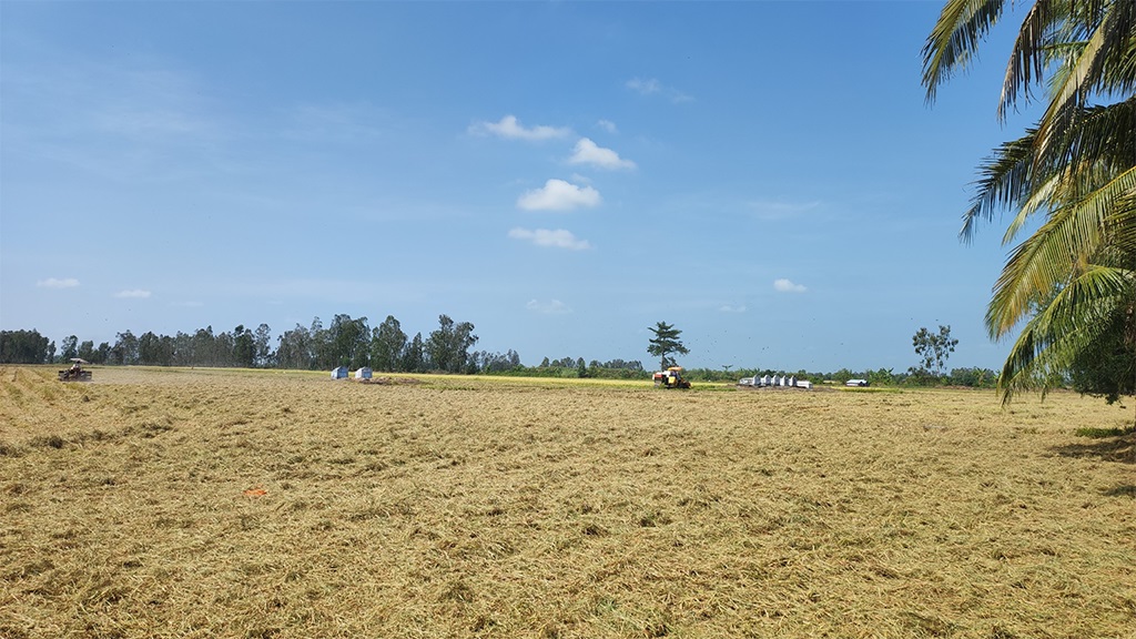 Đài thơm 3 Đài thơm 3