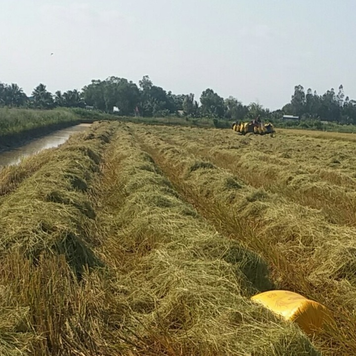 20240120-Thu Hoach-Mr Truong (5)