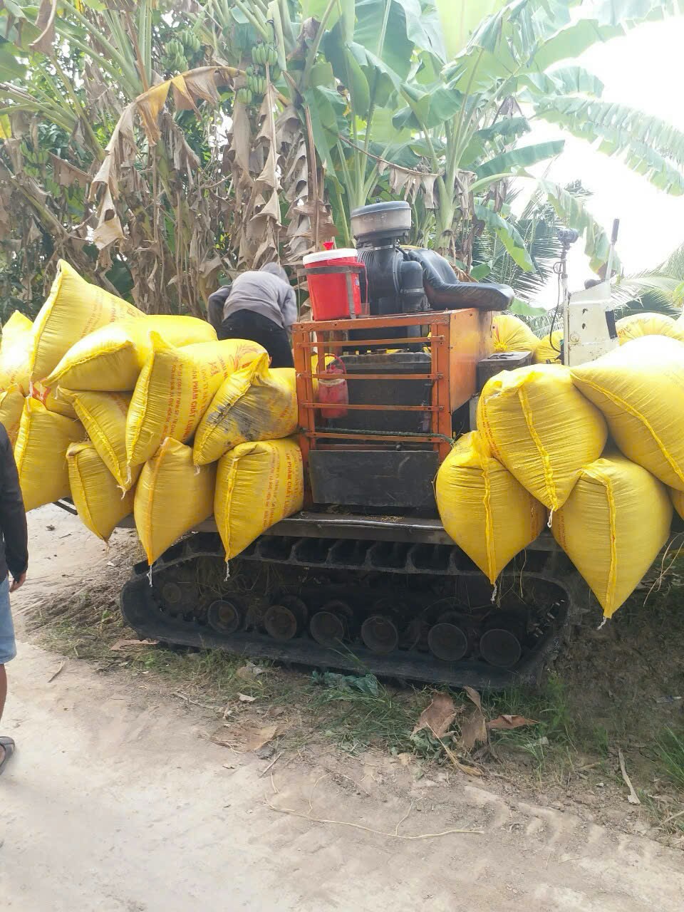 processed-b7dc75b7-6c1d-412f-a39a-30941acde9e5_x3TQIscq