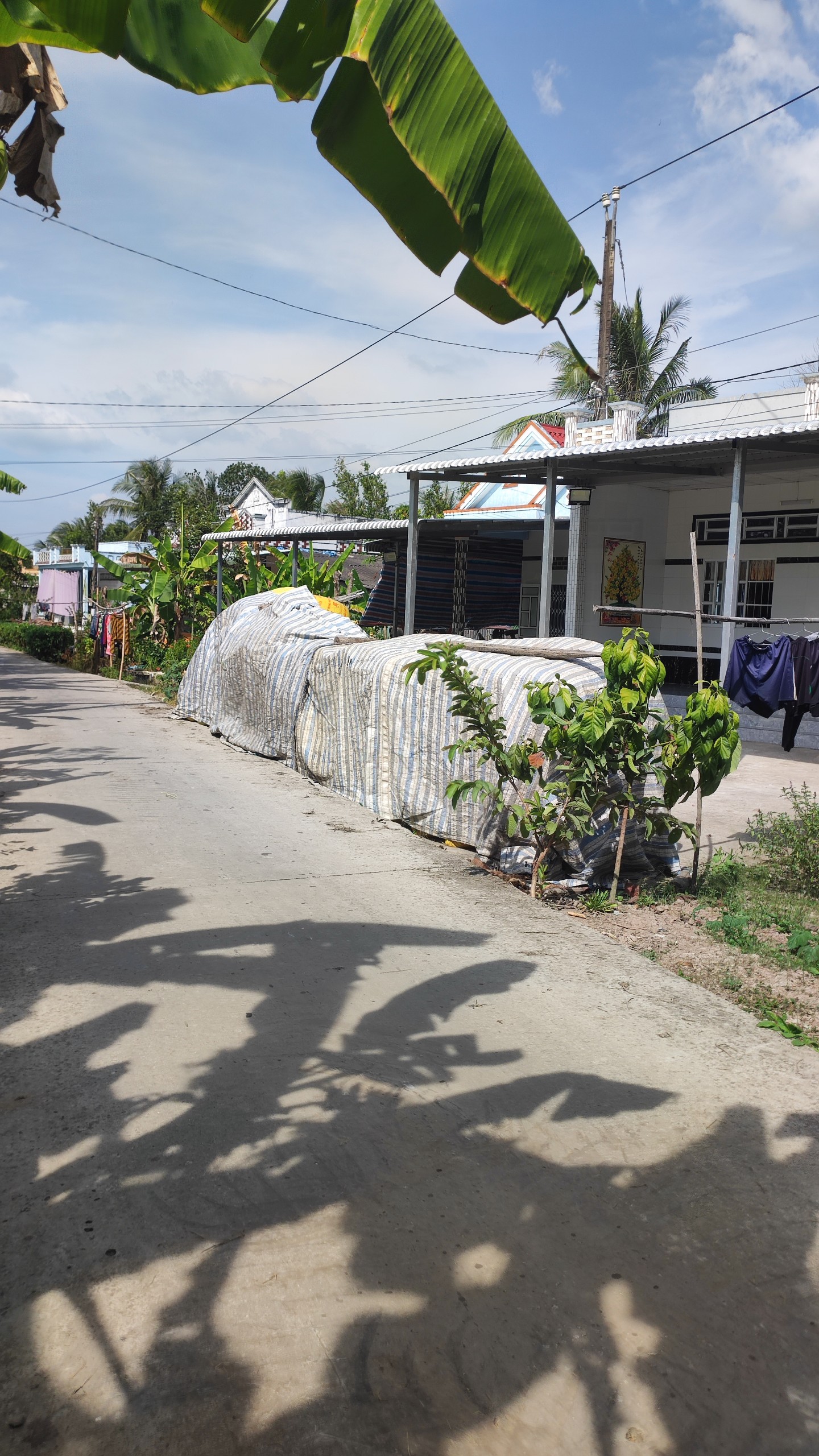 z5054447870879_74e99f7582bb21f0f8e726c2482e9839