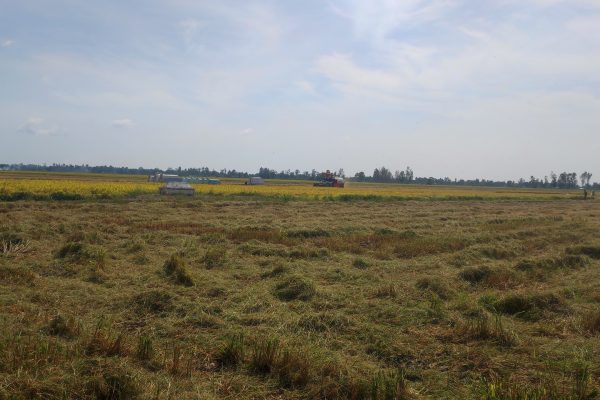 z5054447886485_3d4b56e6861a8255d6904082eb4747f2