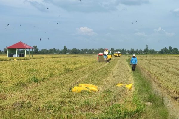 z5115841459032_a6acf0c79e6773155cf214a1de8bb7b5