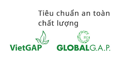 Tiêu Chuẩn An Toàn Chất Lượng Lúa